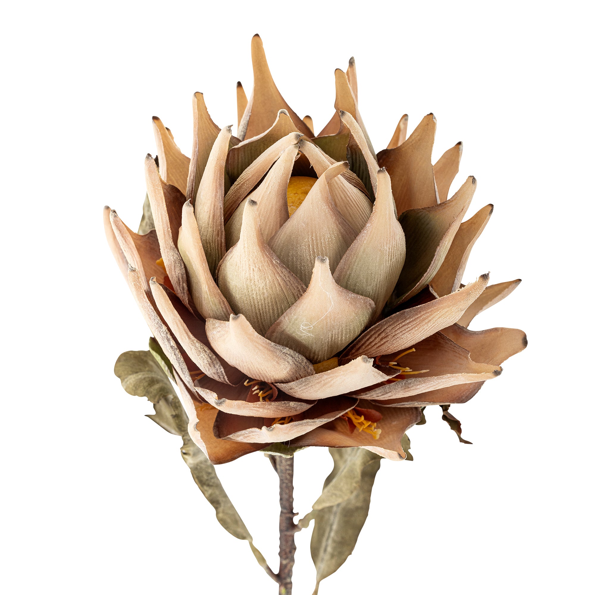 Artificial plant Protea