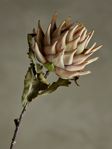 Artificial plant Protea