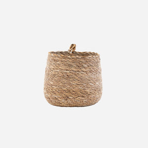 Basket seagrass Hang