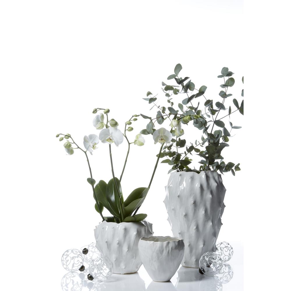 Flower Pot Cactus